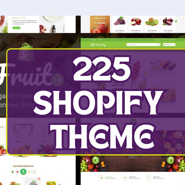 Shopify Premium Theme