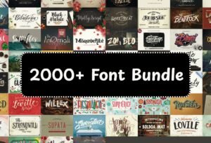 2010 Font Bundle – Vintage Typeface Collection for Designers & Creatives