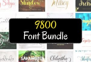 9800 Font Bundle – Vintage Typeface Collection for Designers & Creatives